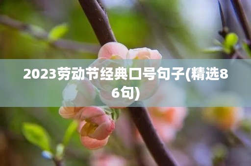 2023劳动节经典口号句子(精选86句)