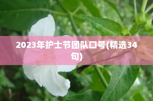 2023年护士节团队口号(精选34句)