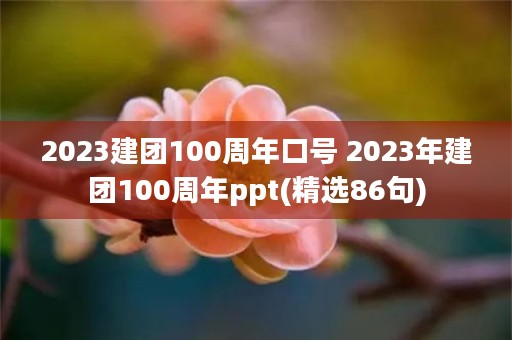 2023建团100周年口号 2023年建团100周年ppt(精选86句)
