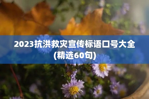 2023抗洪救灾宣传标语口号大全(精选60句)