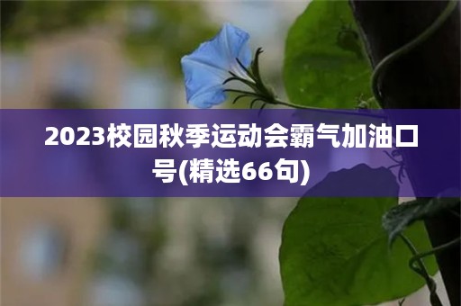 2023校园秋季运动会霸气加油口号(精选66句)