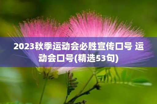 2023秋季运动会必胜宣传口号 运动会口号(精选53句)