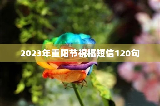 2023年重阳节祝福短信120句