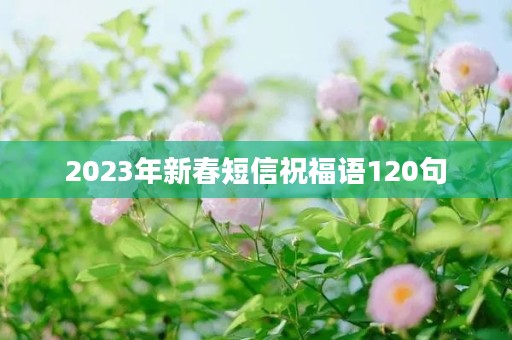 2023年新春短信祝福语120句