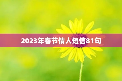 2023年春节情人短信81句