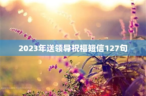 2023年送领导祝福短信127句