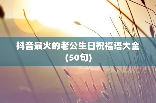 抖音最火的老公生日祝福语大全(50句)