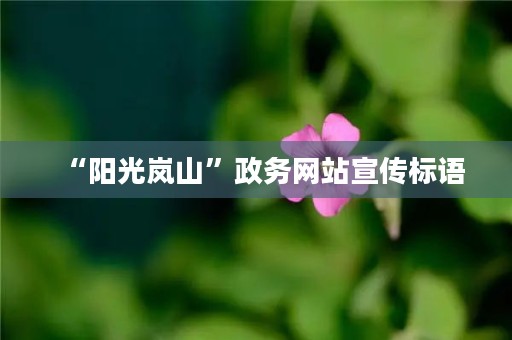 “阳光岚山”政务网站宣传标语