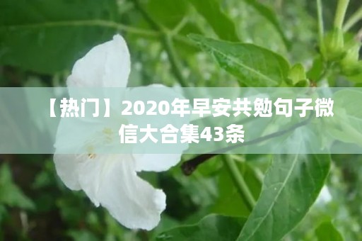 【热门】2020年早安共勉句子微信大合集43条
